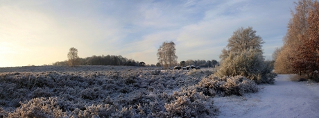 Hunnebed en witte heide