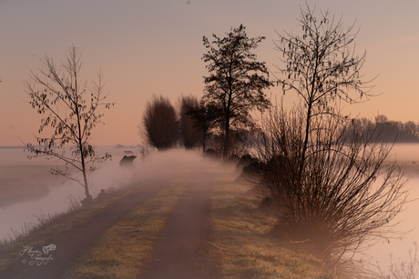 Wandeling in de mist