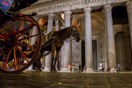Paardenkracht bij het Pantheon