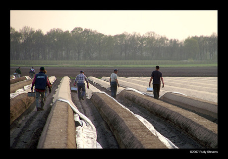 Buitenlandse arbeiders