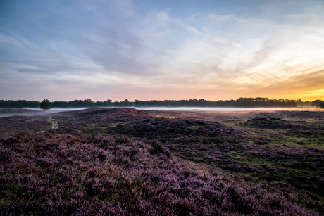 Zonsopkomst Gasterse Duinen