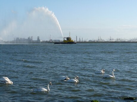 Queen Mary 2 Aflsluiter met Water balet 30 mei