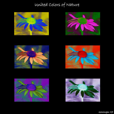 United Colors of Nature