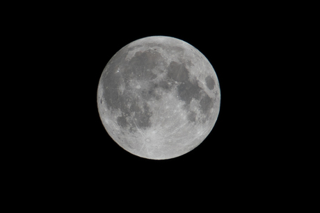 Volle maan