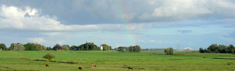 Uiterwaarden bij Nijmegen