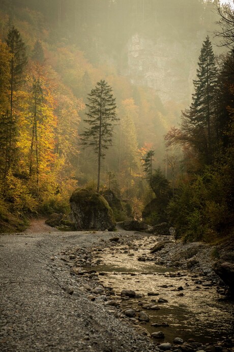 herfst in Oostenrijk