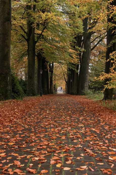 Laan kasteel Croy