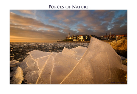 Forces of Nature 8