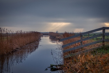 De zon probeert het wel