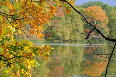 Herfst in de Vledderhof