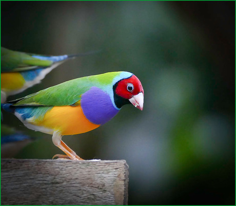 zo hoog????..........................