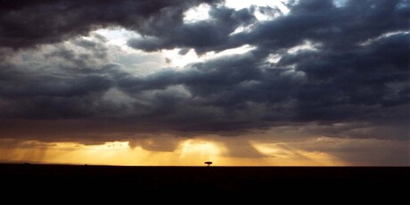 Serengeti Sunset