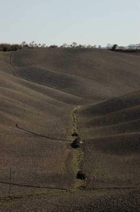 Toscaans dal