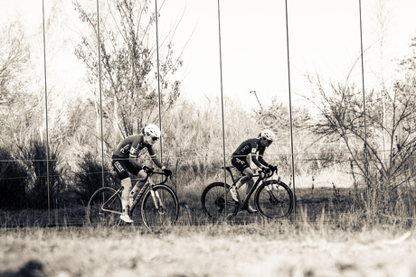 Modderige Mirror Moves