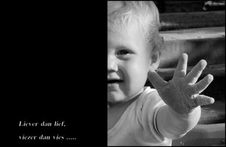 lief en vies...