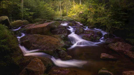 Im Harz