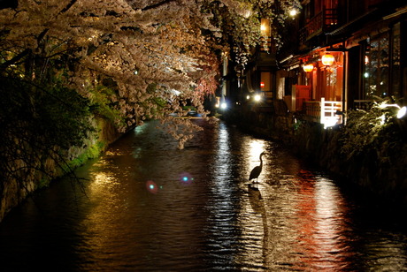 Kyoto