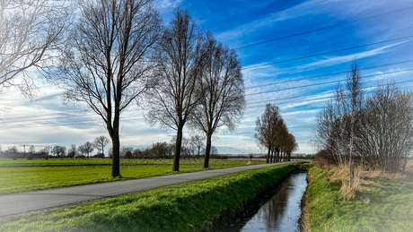 Rustige polder