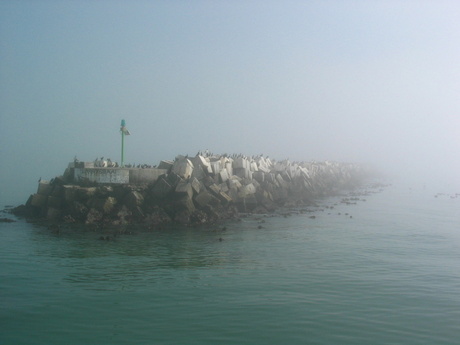 Zuid Afrika - Robben Island