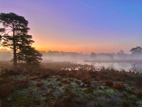 Kleurrijke vroege uurtjes