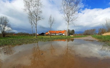 Regenplas