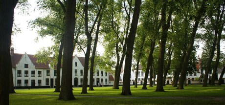 Brugge begijnhof