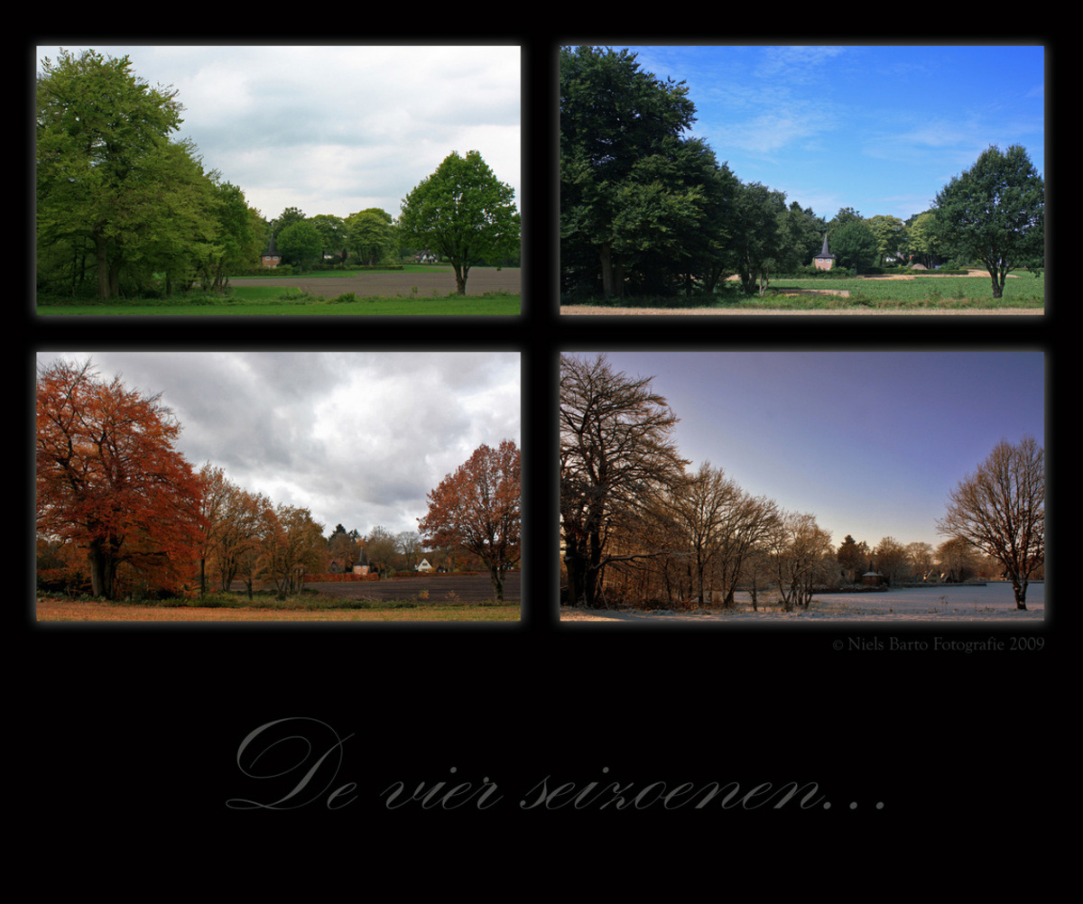 Vier seizoenen - foto - Landschap -