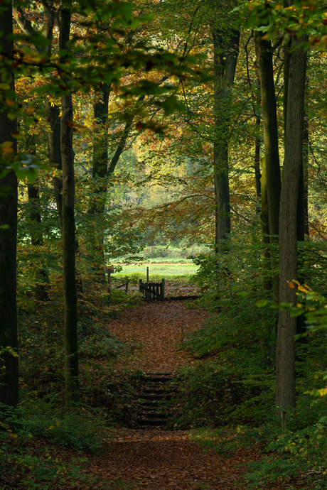 Herfst in Arnhem