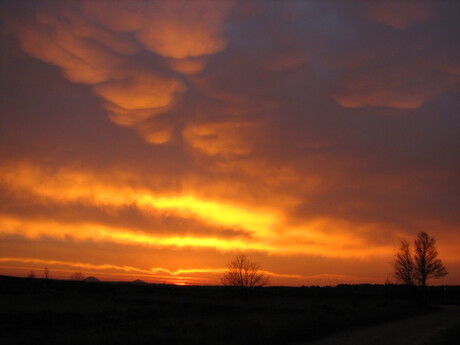 zonsopgang belgie