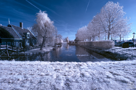 Zaanstad in Infrarood #3