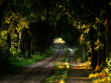 landweggetje