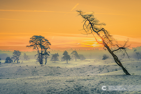 Zonsopkomst op de Sahara
