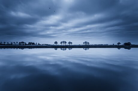 Spiegel landschap