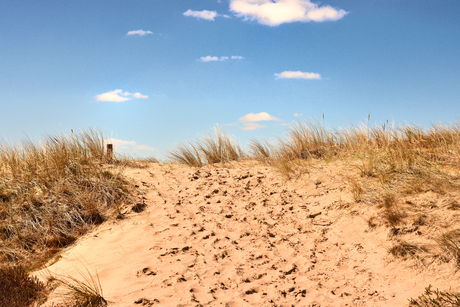 Struinen in de duinen