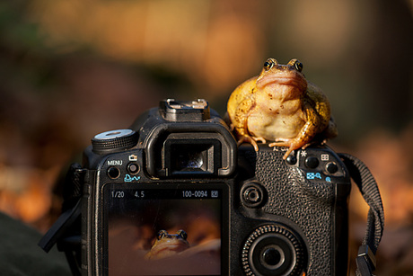 Masterclass fotografie