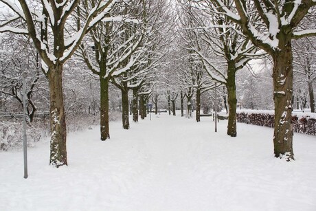 sneeuw in stadspark