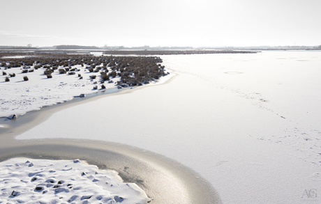 Nederlandse ijsvlakte 