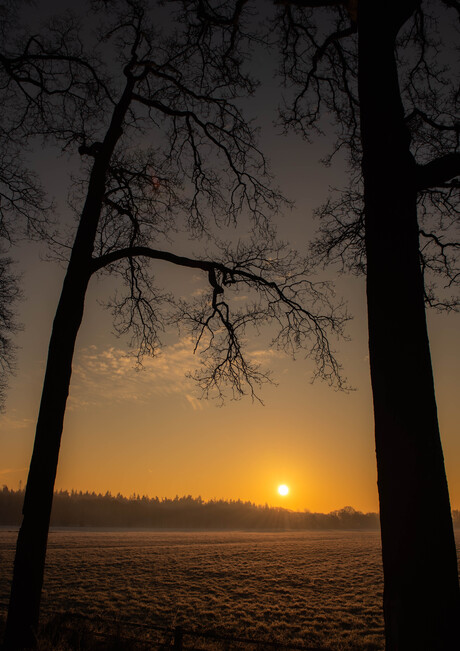 Winter zon