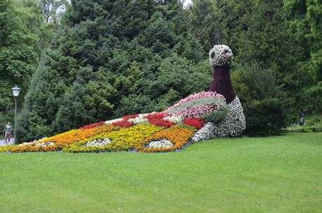 bloemen gans