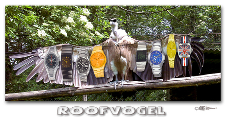 Roofvogel