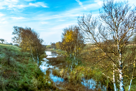 Duinen