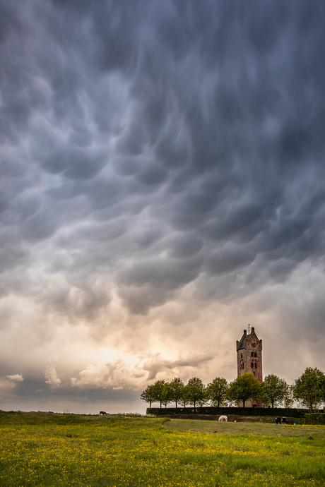 Mammatus