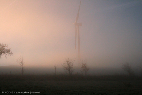 mistig en koud