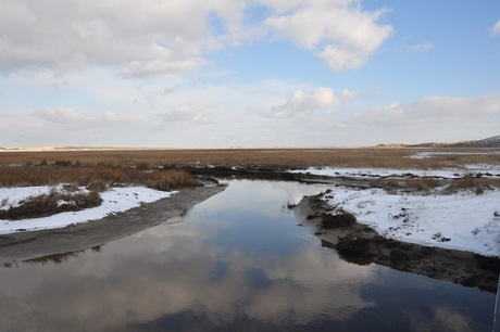 Texel in de winter