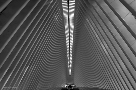 The oculus
