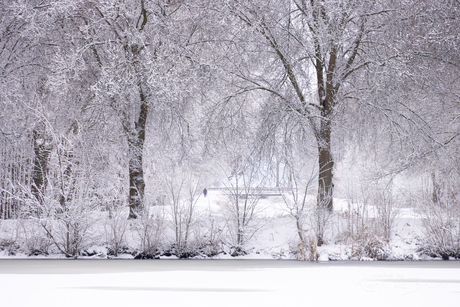 Walking in Winter Wonderland!