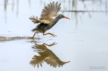 Walking on water 