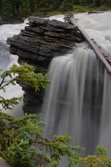 Athabasca falls Canada