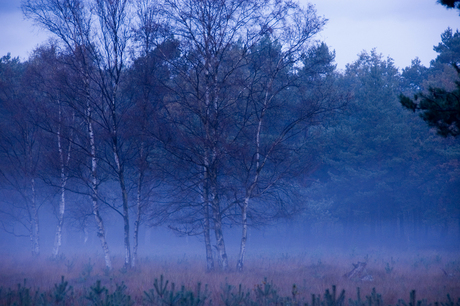 Blue morning in Hilversum