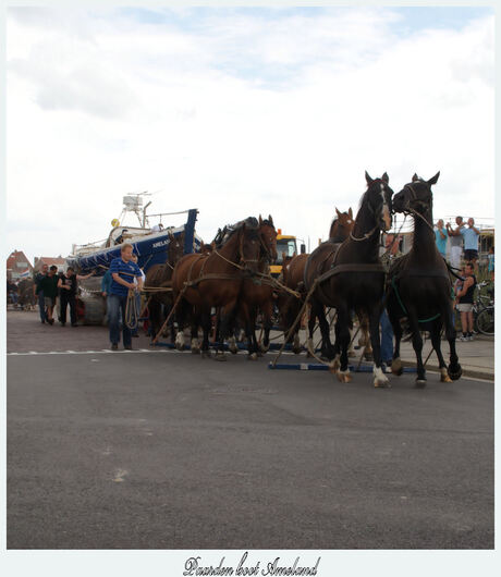 paardenboot uit Ameland